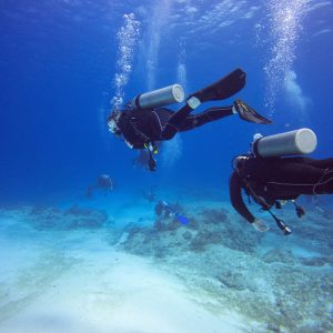 Photo of scuba divers exploring sea bed
